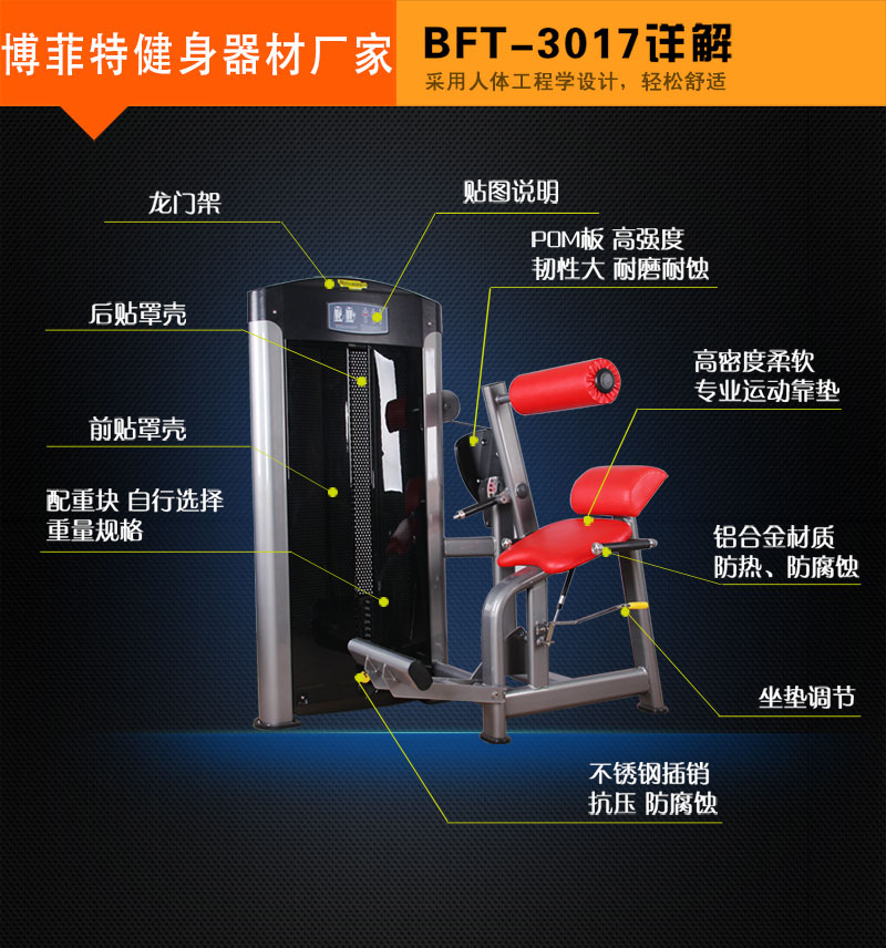 后背伸展芭乐视频黄在线观看